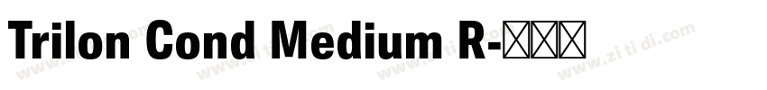 Trilon Cond Medium R字体转换